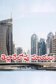 Dubai firm vanishes overnight without a trace Indian investors lose millions1