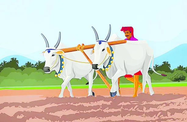 ఖరీఫ్‌ ప్రణాళిక ఖరారు
