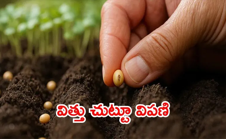 Business of Agricultural Seeds Cornerstone of Global Food Security
