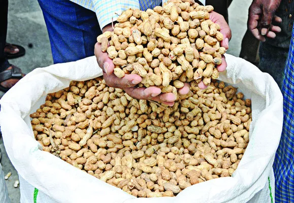 బదిలీల గోలలో విత్తన పంపిణీ ఆలస్యం