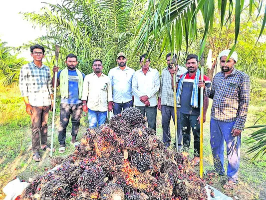 నాలుగేళ్లు శ్రమిస్తే.. ముప్పై ఏళ్లు దిగుబడి