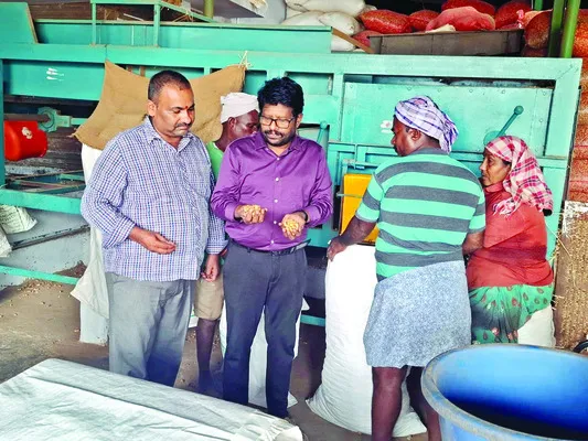 ఎట్టకేలకు మొదలైన విత్తనశుద్ధి