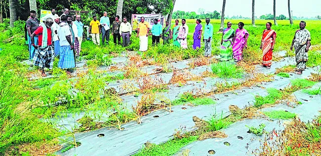 మైక్రో ఇరిగేషన్ పరికరాలపై అవగాహన