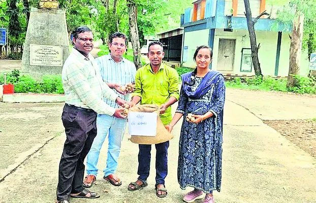 అల్లం