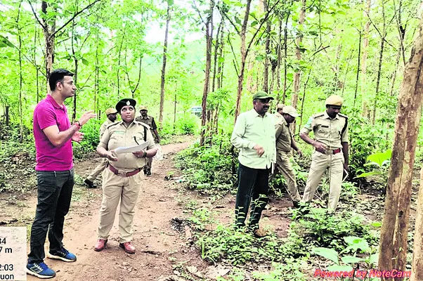 థిన్నింగ్ పనులు కీలకం