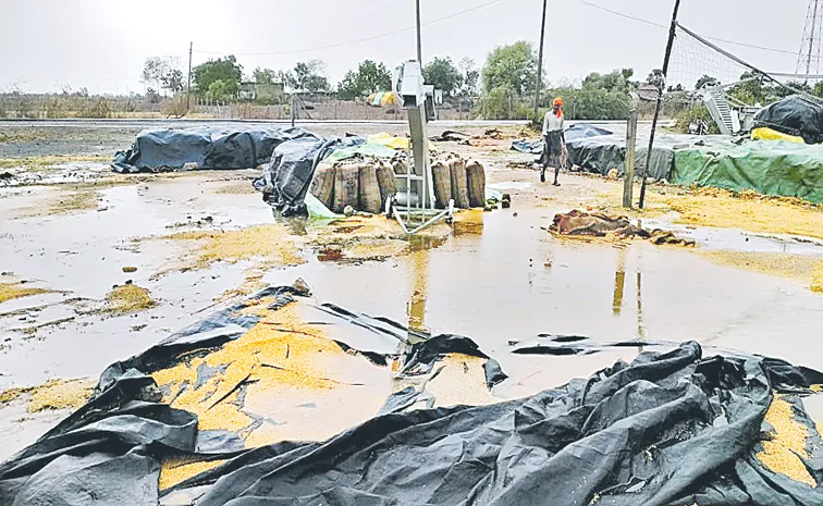 Rain fell in all districts across Telangana