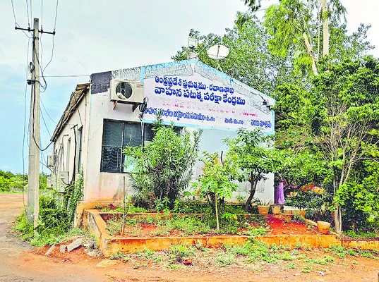 ప్రైవేటుకే పటుత్వం!