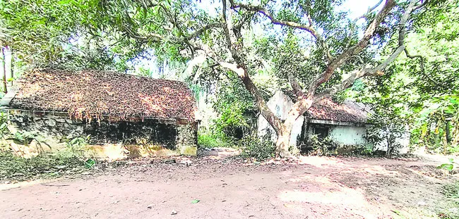 శిథిల భవనాలు.. పాముల పుట్టలు