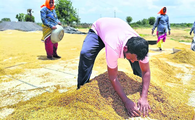 తరలని ధాన్యం.. తడిపిన వర్షం
