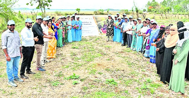 అమ్మ పేరుతో ఒక మొక్క