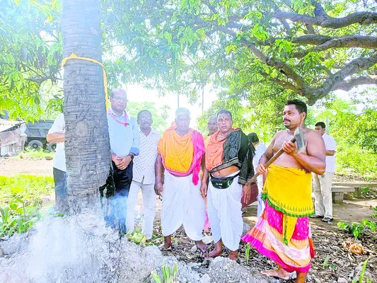 చారుమ
