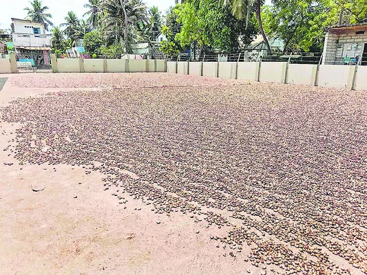పెట్టుబడి ఘనం.. గిట్టుబాటు గగనం
