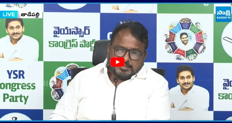 Sake Sailajanath: ఆరోపణలే తప్ప ఆధారాలు లేవు