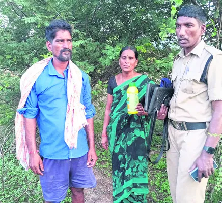 రోడ్డ