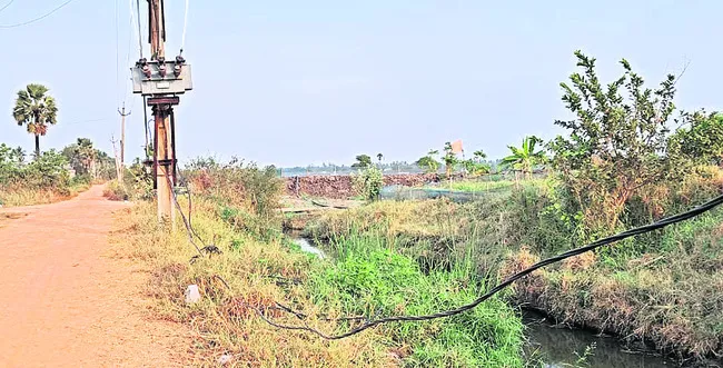 విద్య
