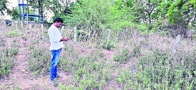 ఎల్‌ఆర్‌ఎస్‌కు తిప్పలెన్నో..