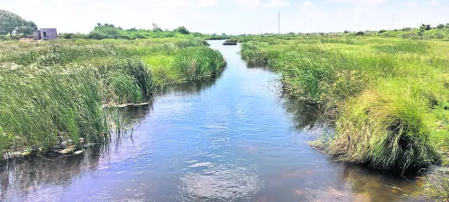 భ్రమరాంబాదేవికి ఊయలసేవ 