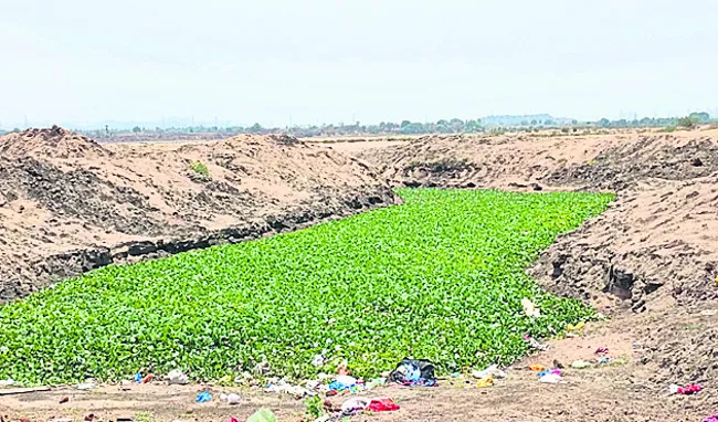 గోదావ