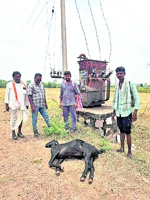 విద్య
