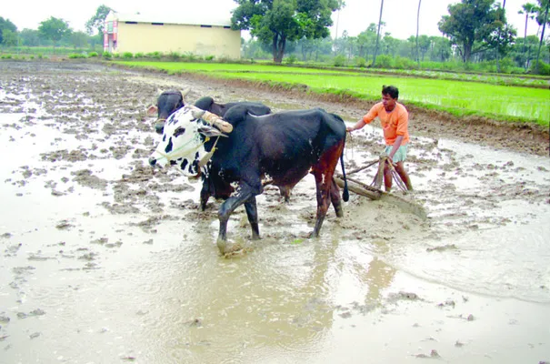 వానాకాలం.. ‘సాగు’డెట్లా