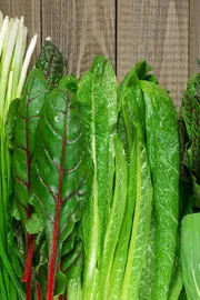 healthy  happy lifes check these amazing and best food2
