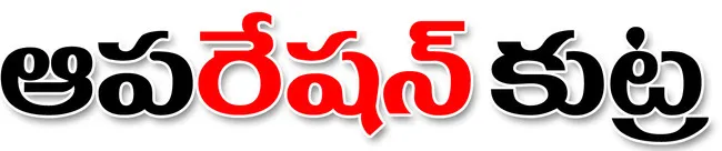 సర్వర