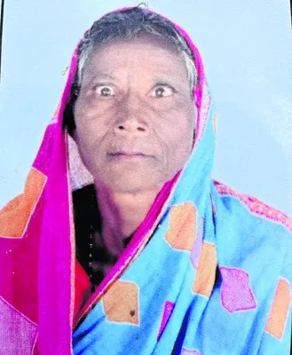 కుక్క