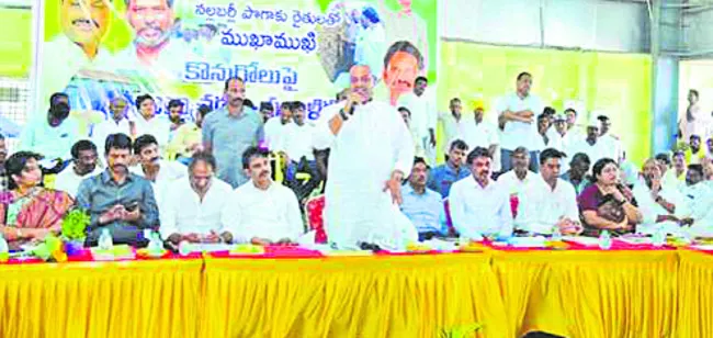 నల్లబర్లీ కొనుగోలు చేయిస్తాం