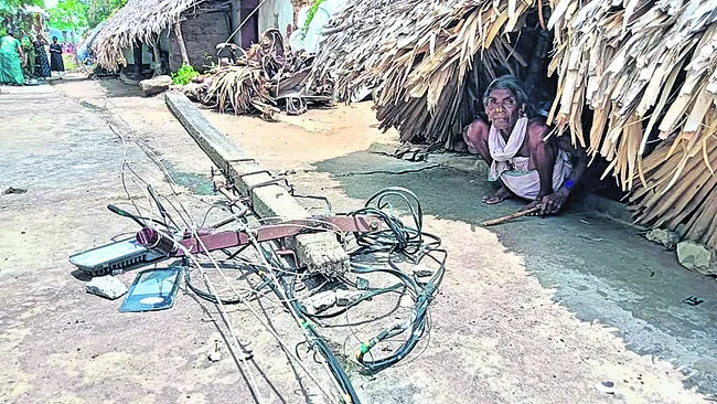 జనావా