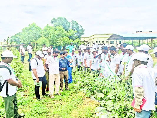సమగ్ర కీటక నివారణపై కేవీకేలో శిక్షణ