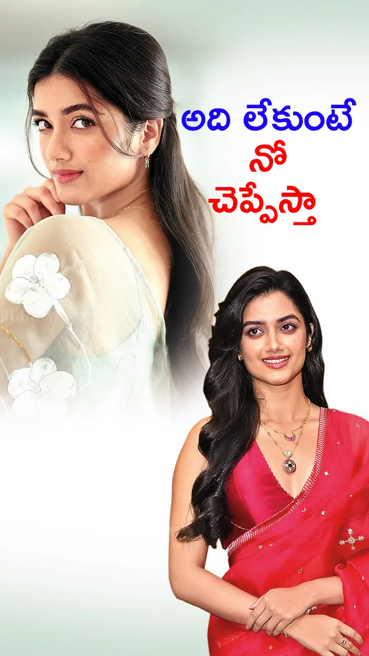 Extreme craze among the audience with only one Telugu movie Bhagyashree Borse.
