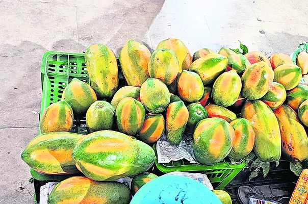 బొప్పాయి.. మేలోయి