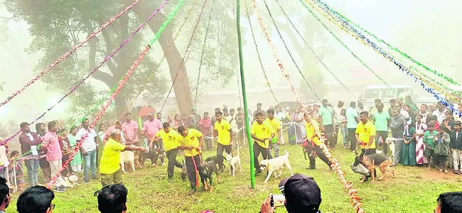 ఏర్కా