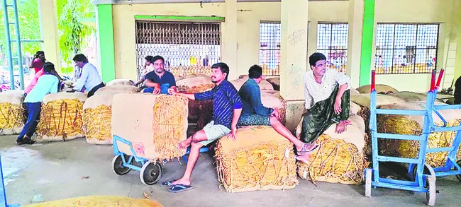 ఎక్కడి బేళ్లు అక్కడే..