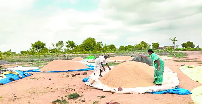 కొనుగోళ్లలో కొర్రీలు రైతన్న వెతలు