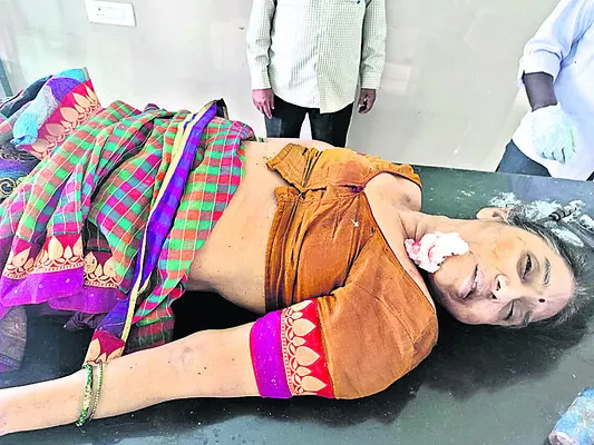 పుష్కరాలకు వెళ్తూ...తిరిగిరాని లోకాలకు