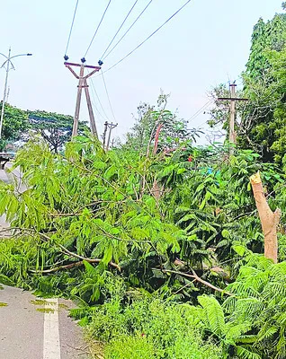 నిర్ల