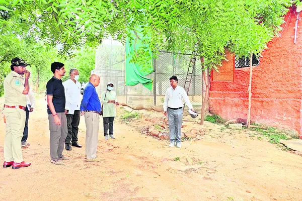 ఘాట్