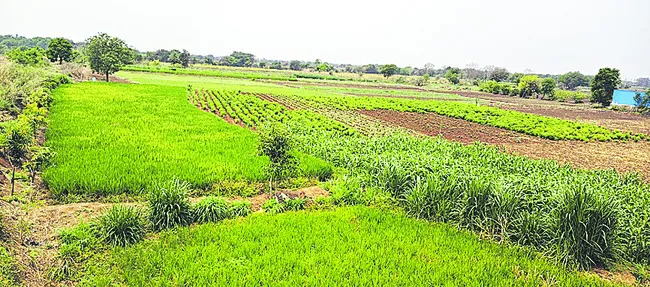 సిరుల