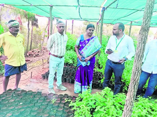 ఉపాధి పనుల పరిశీలన