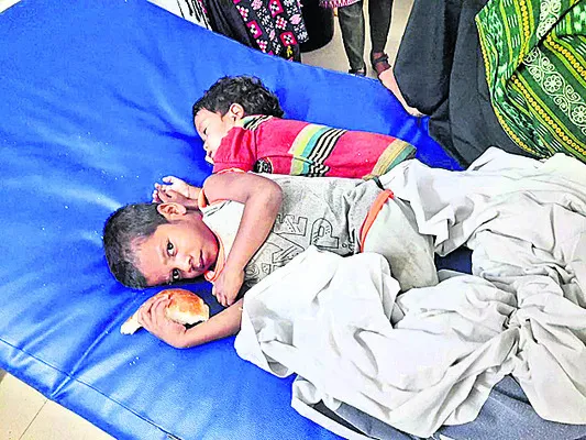 పిల్ల