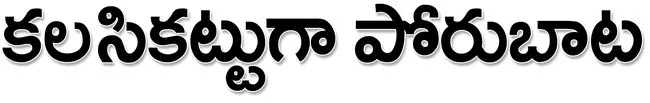 ● హామ
