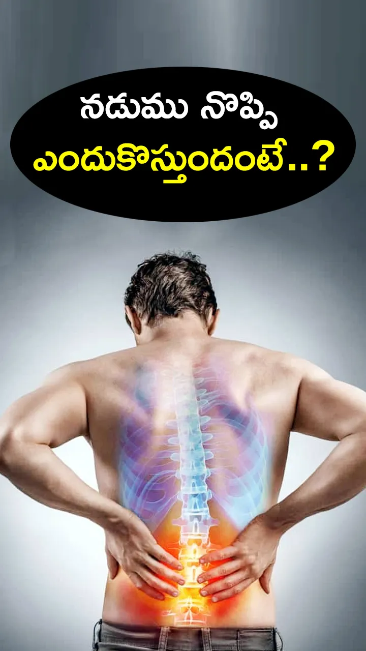 Lumbar stenosis is a major cause of back pain