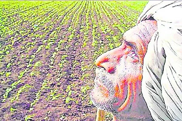 ముందస్తుగానే రుతుపవనాలు
