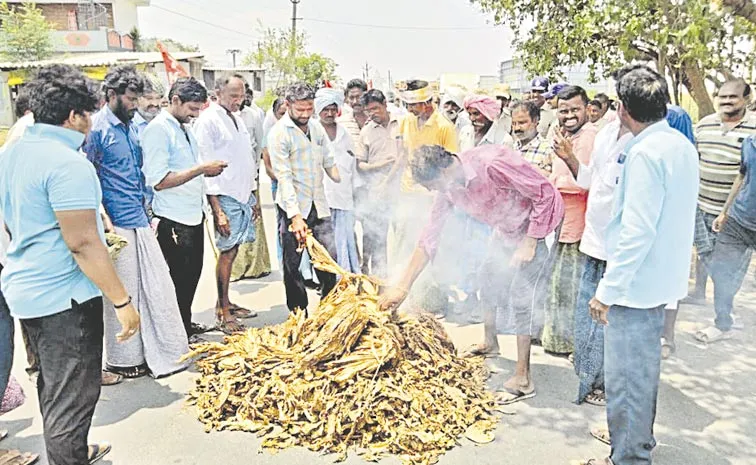Tobacco Farmers Protest For Fair Price in Bapatla district