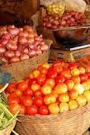 Veggie prices rise as heavy rains in Maharashtra damage crops11