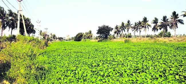 పూడిక