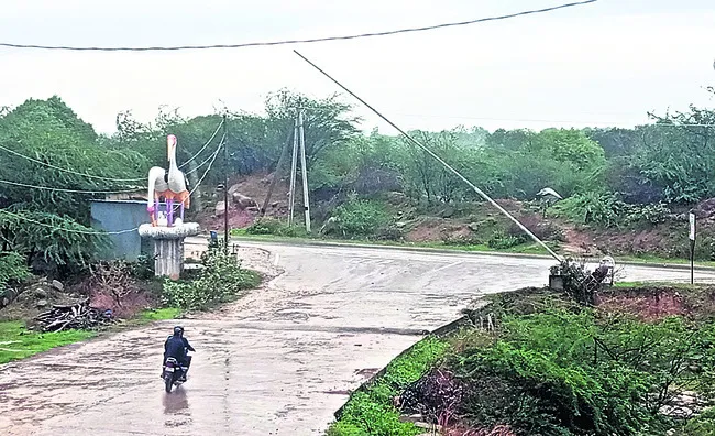 15 మండలాల్లో వర్షం