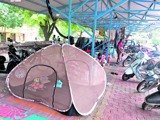 పెద్దాసుపత్రిలో విషపురుగులు 
