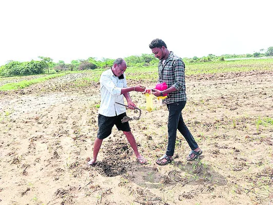 భూసార
